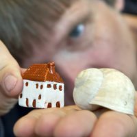 Eine Person hält auf ihrer flach ausgestreckten Hand das Häuschen einer Weinbergschnecke und ein kleines Wohnhäuschen aus Ton.